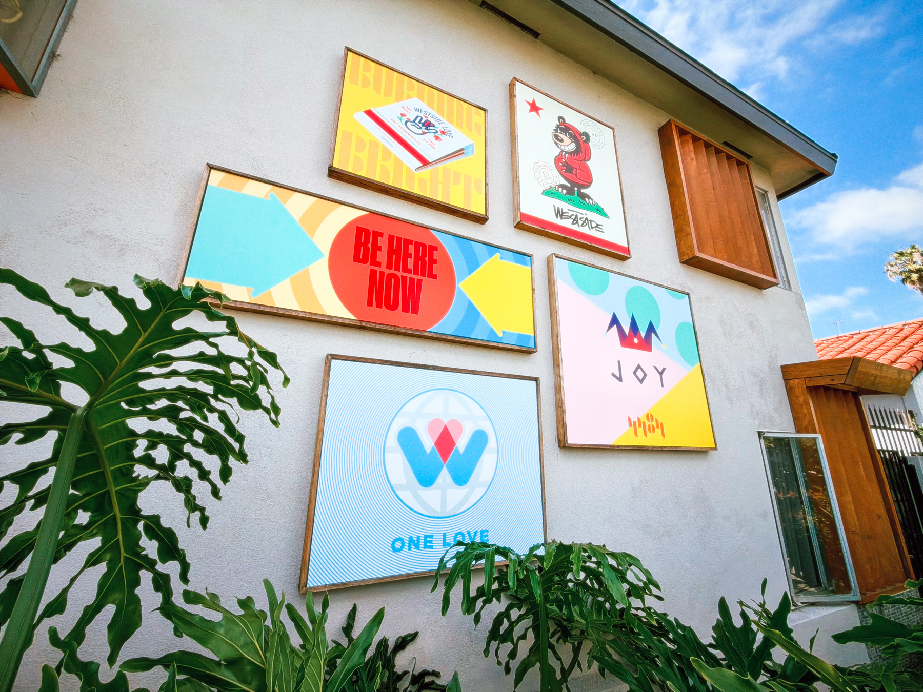 Shot with No Fusion by “K1”. Shot with No Fusion by “K1”.