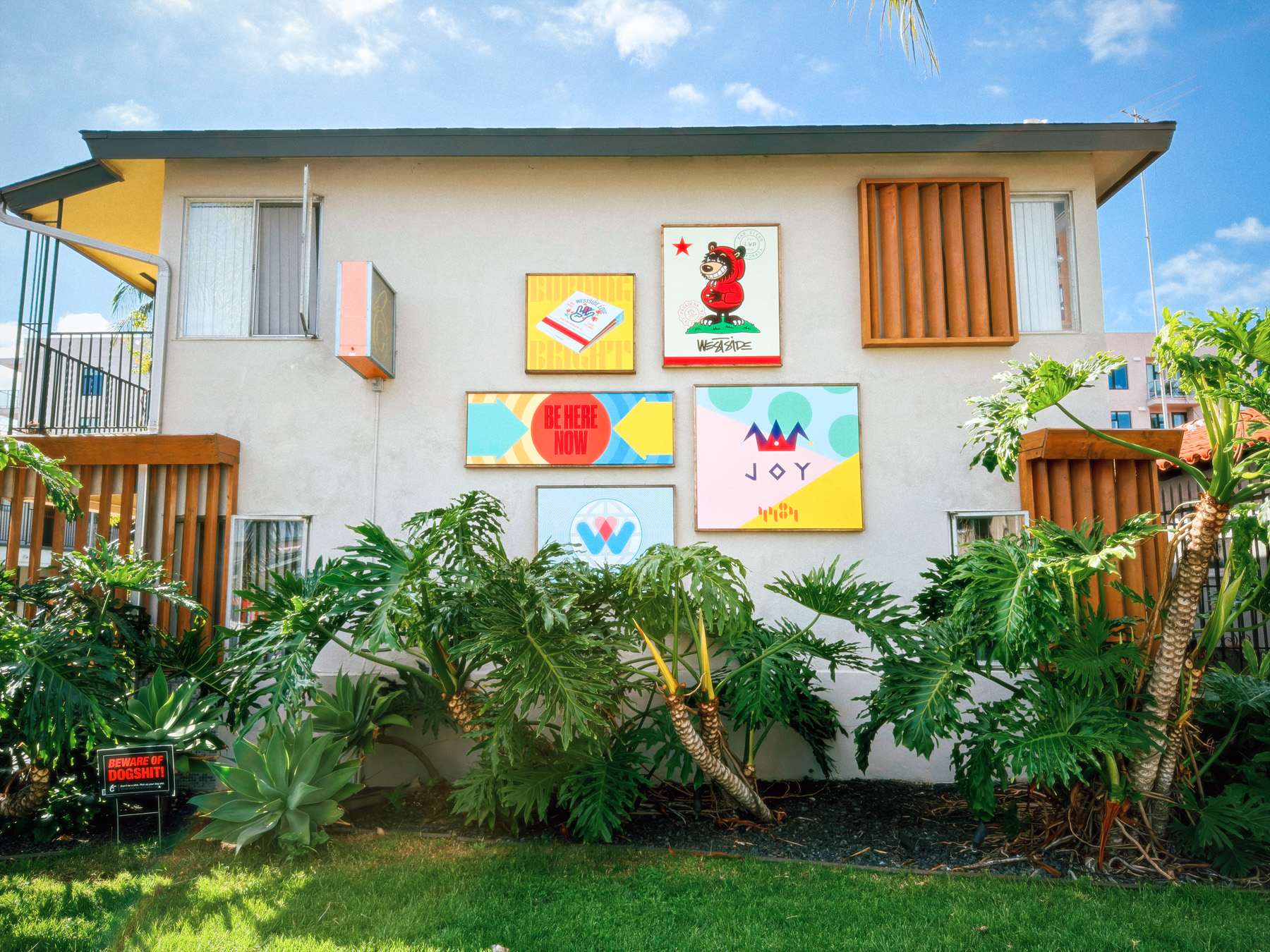 Shot with No Fusion by “K1”. Shot with No Fusion by “K1”.